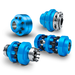 Siemens Flender 2LC0100-2AA99-0AA0 L0Q + M0U Acoplamento flexivel, elástico, torque 60NM, faixa/diametro furo 30-38mm, diametro externo 80mm, comprimento 63mm, D: 25 mm, produto importado, ficha tecnica catalogo datasheet