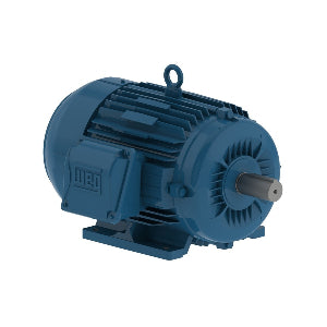 WEG 11417306 motor eletrico W22 IR3 Premium, AC, 220/380V, 0.75HP, 60Hz, 3F, 1175 rpm, frame L80, produto importado, datasheet 
