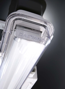 Daeyang FLR-240NF Luminária para 2 Lâmpadas Fluorescente 40w, 2 reatores, 220Vca, 60Hz, receptáculo G13 - ABNT NBR 8346, poliéster com fibra de vidro, 4 entradas com prensa-cabos, NPT Ø3/4"(ASME B1.20.1), fixação poste 45°, difusor policarbonato, MAC.EXE.010.AC.1X2X40.000220V-50/60HZ RB, EN-357, produto importado