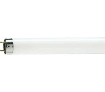 Philips TL-D 36W/54-765 1SL/25 Lâmpada Fluorescente, 36W, 2500lm, base G13, T8, CCT 6200K luz branca fria (cool white), 28621540, 871150028621540, obsoleto modelo atual TL-D Super 80 36W/865 1SL/25 (63207440), F36T8-86-PH, produto importado, código NCM 853931, catalogo data sheet